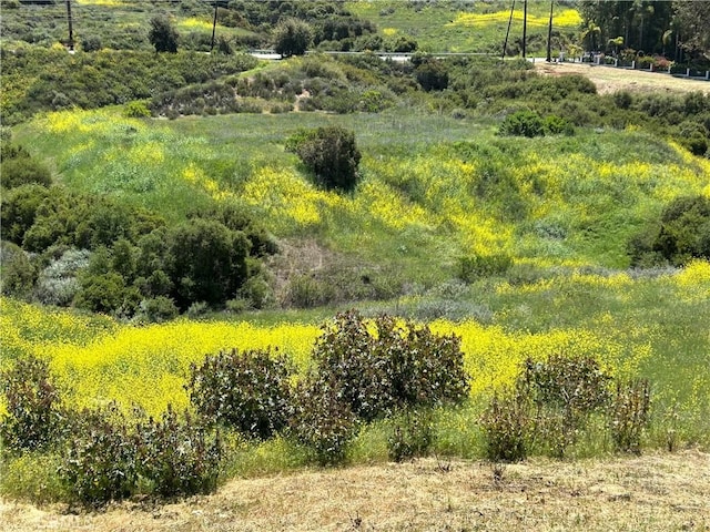 24201 Mulholland Hwy, Calabasas, CA 91302