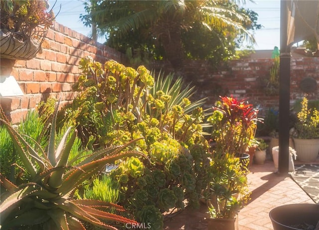 view of yard with a patio