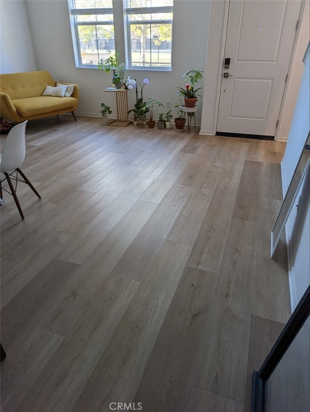 entryway featuring light hardwood / wood-style flooring