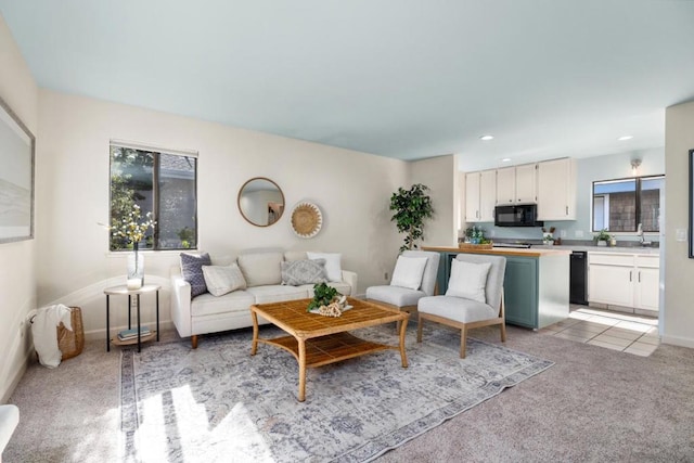 living room featuring light colored carpet and sink