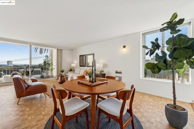 dining room featuring heating unit and light parquet floors