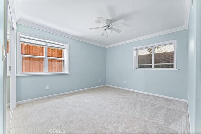 unfurnished room featuring ceiling fan, light colored carpet, and crown molding