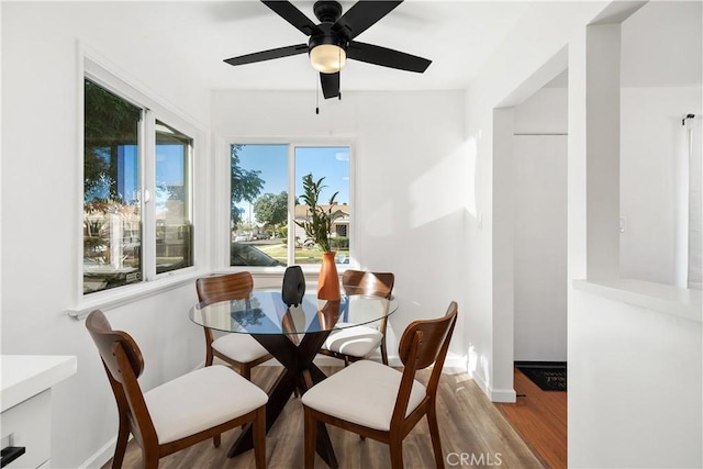 dining area featuring ceiling fan, wood-type flooring, and a wealth of natural light