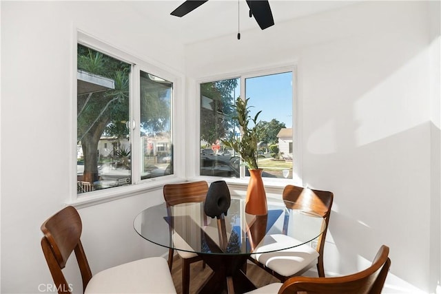 dining area featuring ceiling fan