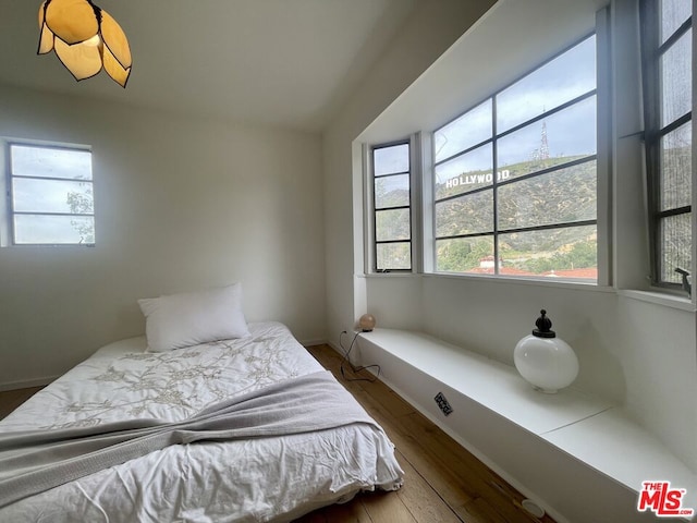 bedroom featuring wood-type flooring