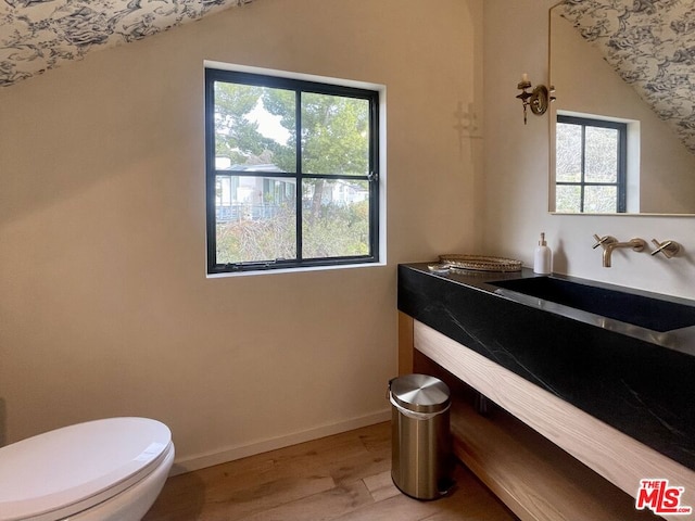 bathroom with toilet, sink, and hardwood / wood-style floors