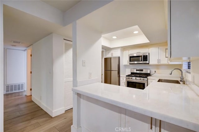 kitchen featuring white cabinetry, kitchen peninsula, stainless steel appliances, a tray ceiling, and sink