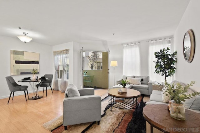 living room featuring wood-type flooring