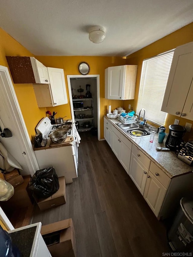 kitchen featuring dark wood-type flooring, sink, and white cabinetry