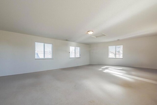 empty room featuring carpet floors