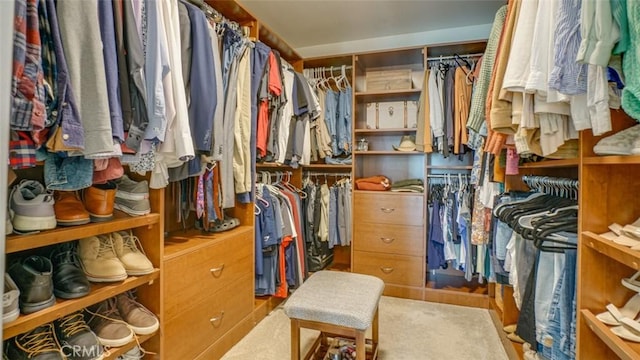 view of spacious closet