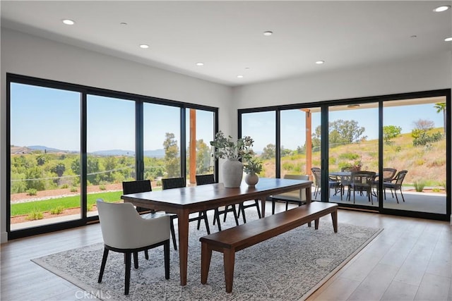 dining area featuring a mountain view, light hardwood / wood-style flooring, and plenty of natural light