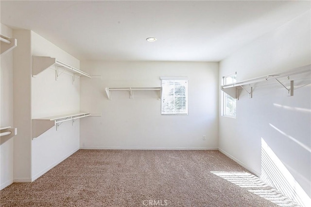 walk in closet with carpet