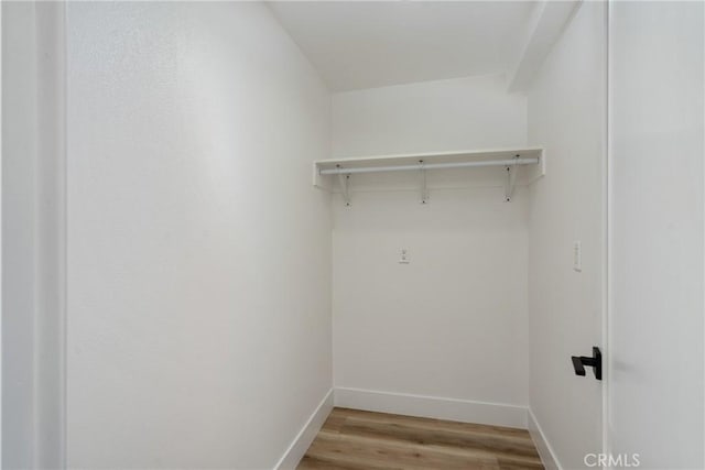 walk in closet with wood-type flooring