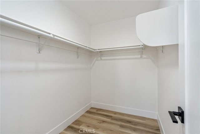 spacious closet featuring hardwood / wood-style flooring