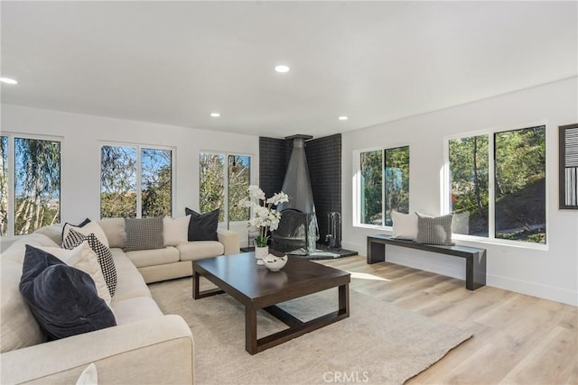 living room with a wood stove, light hardwood / wood-style floors, and plenty of natural light