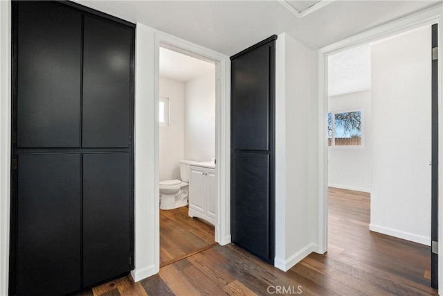 bathroom featuring hardwood / wood-style flooring, toilet, and vanity