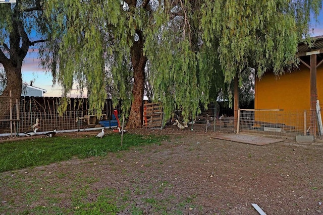 view of yard at dusk