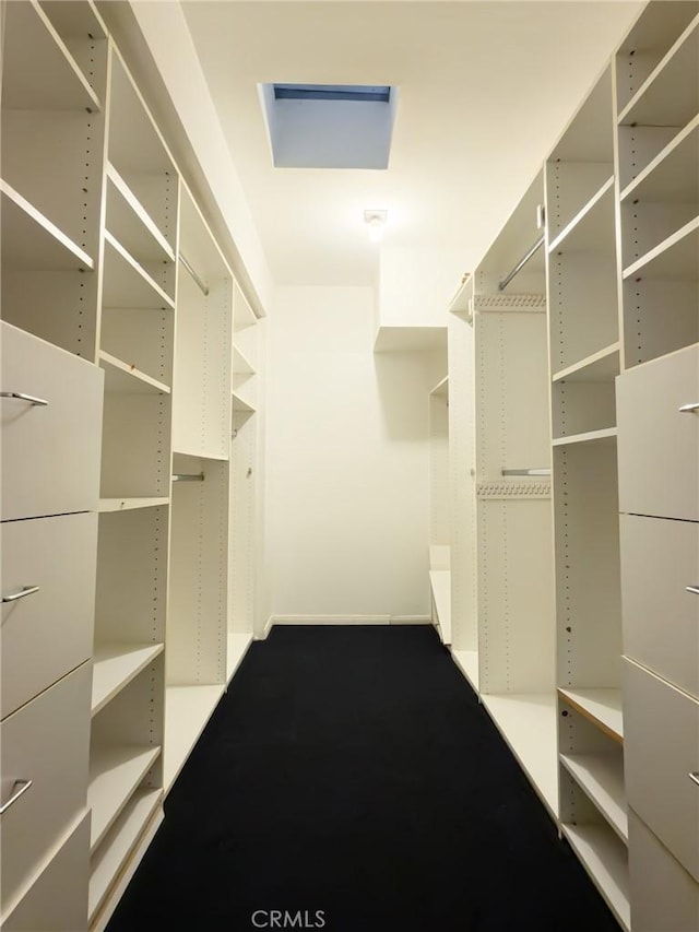 view of walk in closet