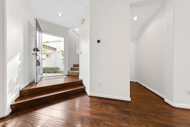 foyer featuring dark wood-type flooring