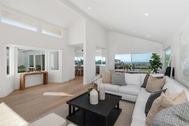 living room with a towering ceiling and light hardwood / wood-style flooring