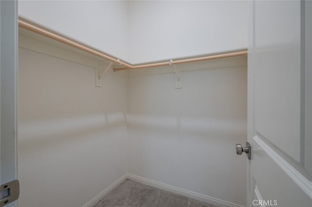 spacious closet with carpet floors