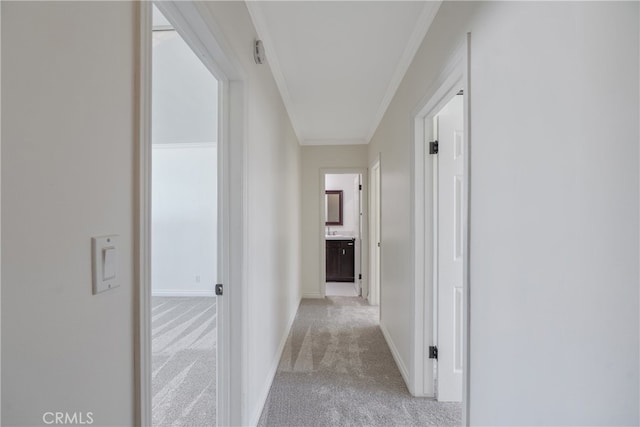 corridor featuring light carpet and ornamental molding