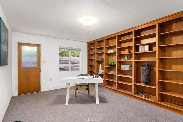 view of carpeted home office