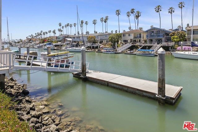 dock area with a water view