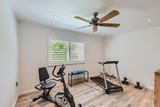 exercise area featuring ceiling fan and light hardwood / wood-style flooring