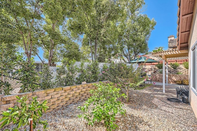 view of yard with a pergola and a patio