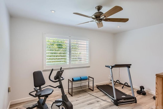 workout area featuring ceiling fan and light hardwood / wood-style flooring