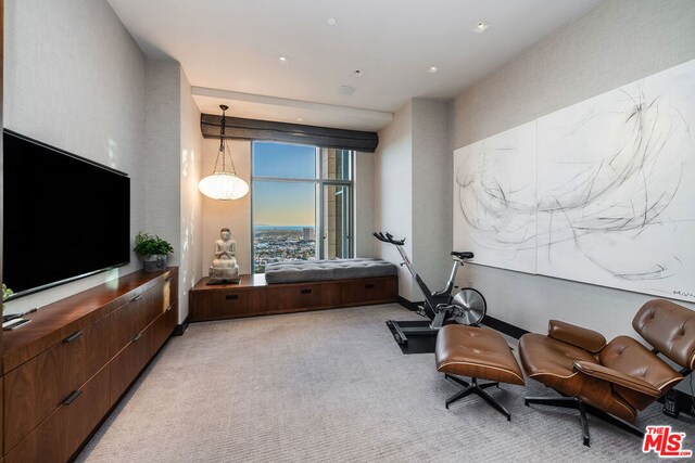 sitting room featuring light colored carpet and floor to ceiling windows