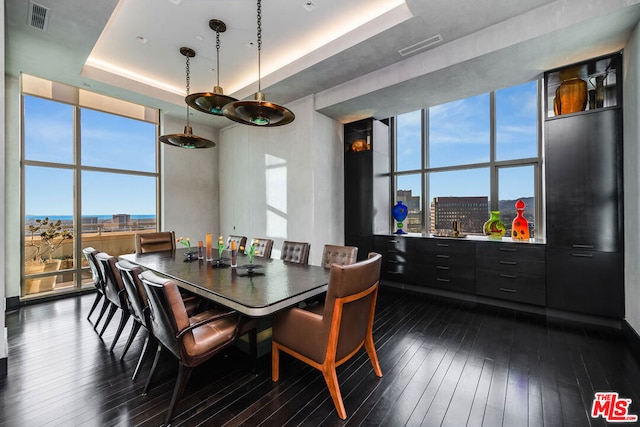 dining area with floor to ceiling windows, dark wood-type flooring, a raised ceiling, and a healthy amount of sunlight