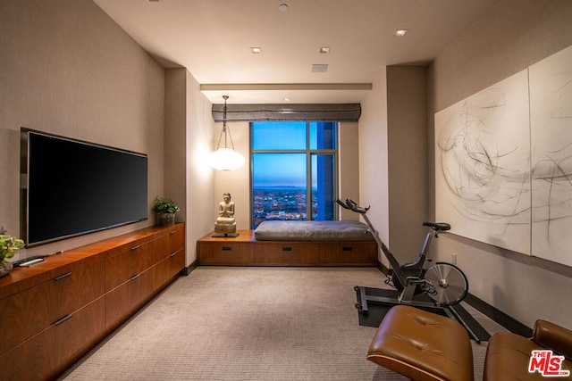 exercise room featuring carpet floors