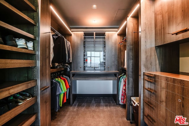 walk in closet featuring dark colored carpet