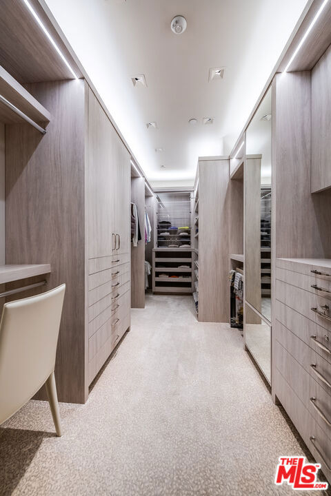 spacious closet with light colored carpet