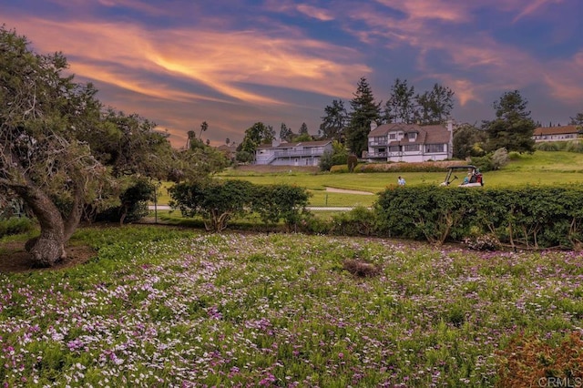 view of yard at dusk