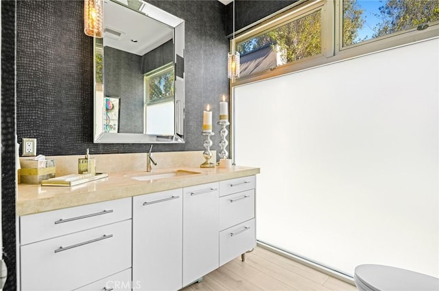 bathroom featuring toilet and vanity