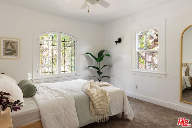 bedroom featuring multiple windows, ornamental molding, ceiling fan, and carpet flooring