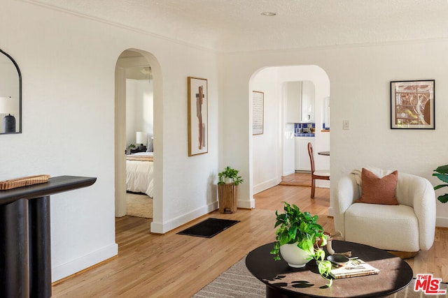 living room with wood-type flooring