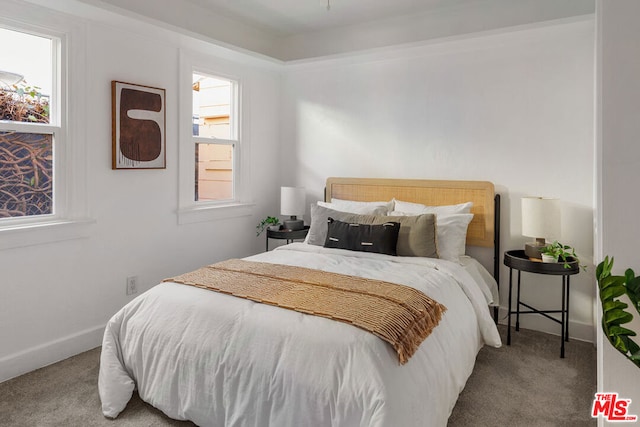 view of carpeted bedroom