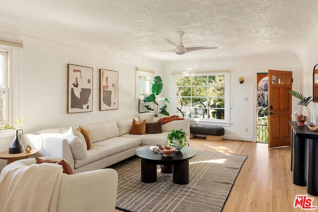 living room with ceiling fan, light hardwood / wood-style flooring, and a textured ceiling