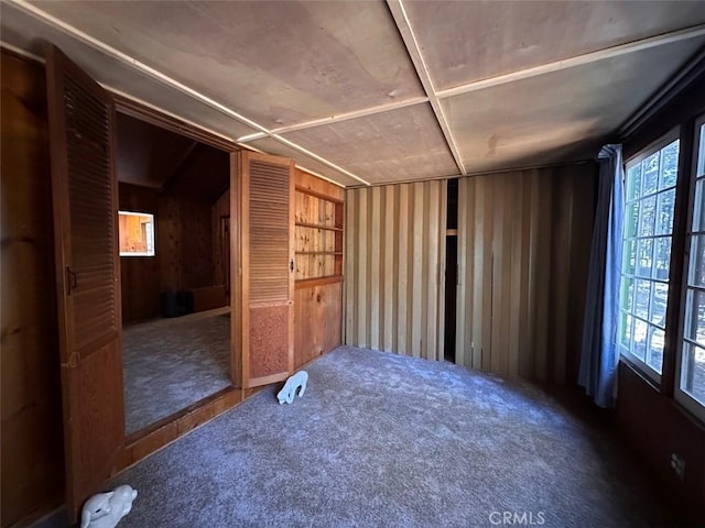 empty room featuring carpet floors and wooden walls