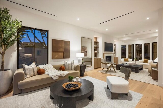 living room featuring light hardwood / wood-style flooring