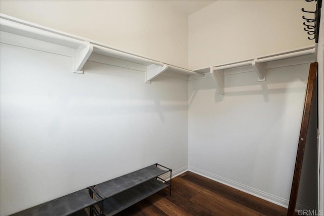 spacious closet with dark hardwood / wood-style flooring