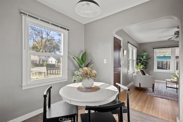 dining area featuring ceiling fan, wood-type flooring, and plenty of natural light