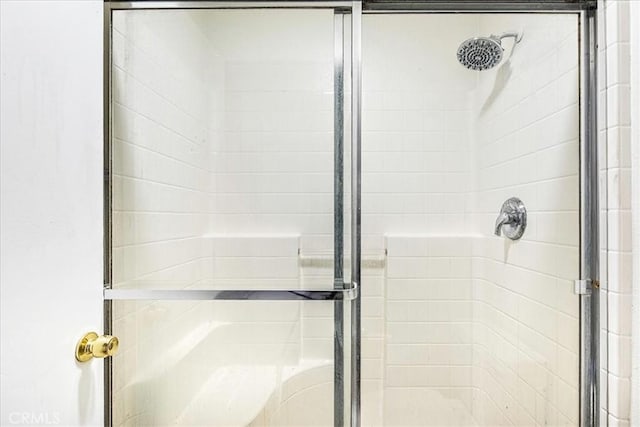 bathroom featuring a shower with door