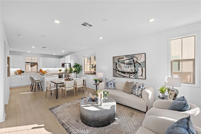 living room featuring light hardwood / wood-style floors and sink