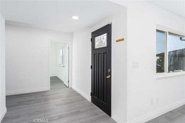 foyer entrance with hardwood / wood-style flooring